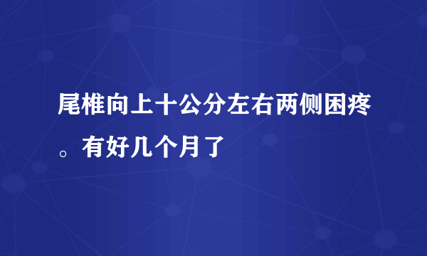 尾椎向上十公分左右两侧困疼。有好几个月了