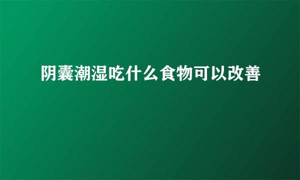 阴囊潮湿吃什么食物可以改善