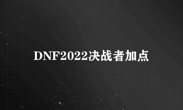 DNF2022决战者加点