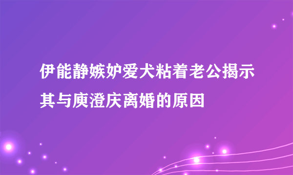 伊能静嫉妒爱犬粘着老公揭示其与庾澄庆离婚的原因