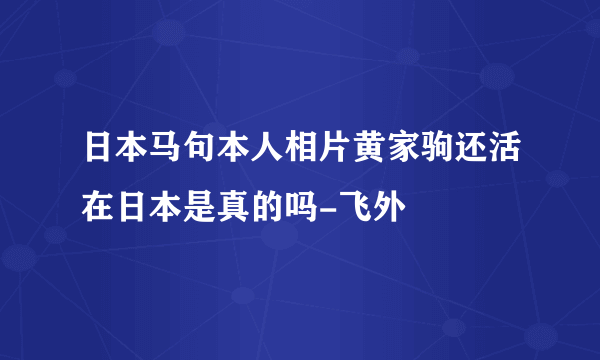 日本马句本人相片黄家驹还活在日本是真的吗-飞外