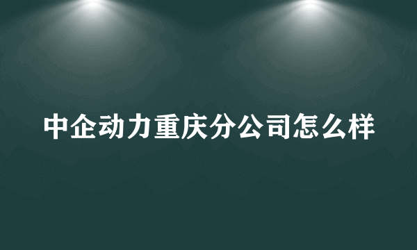 中企动力重庆分公司怎么样