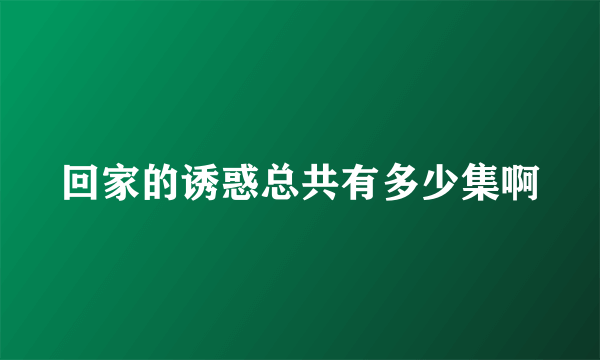 回家的诱惑总共有多少集啊