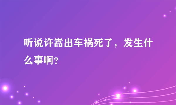 听说许嵩出车祸死了，发生什么事啊？