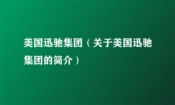 美国迅驰集团（关于美国迅驰集团的简介）