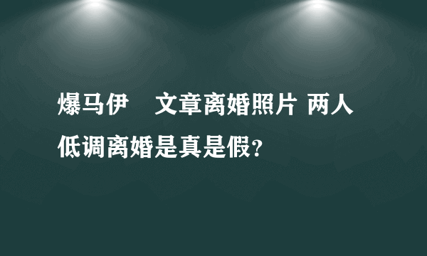 爆马伊琍文章离婚照片 两人低调离婚是真是假？