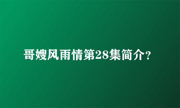 哥嫂风雨情第28集简介？