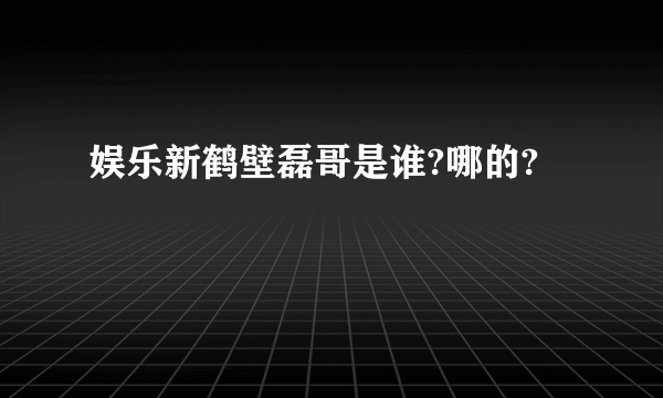 娱乐新鹤壁磊哥是谁?哪的?