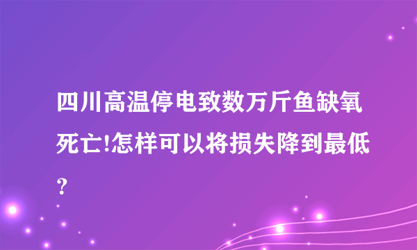 四川高温停电致数万斤鱼缺氧死亡!怎样可以将损失降到最低？