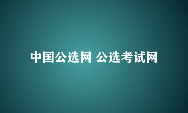 中国公选网 公选考试网