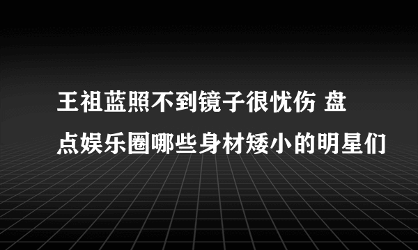 王祖蓝照不到镜子很忧伤 盘点娱乐圈哪些身材矮小的明星们