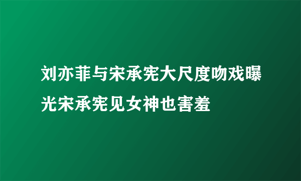 刘亦菲与宋承宪大尺度吻戏曝光宋承宪见女神也害羞