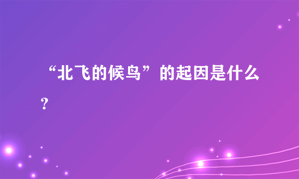 “北飞的候鸟”的起因是什么？