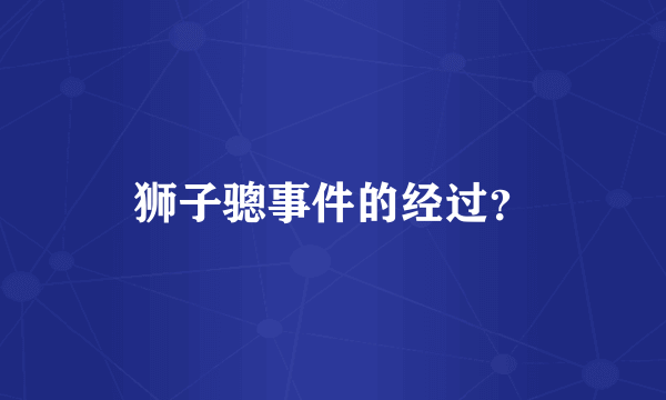 狮子骢事件的经过？