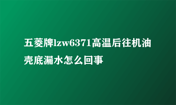 五菱牌lzw6371高温后往机油壳底漏水怎么回事