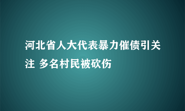 河北省人大代表暴力催债引关注 多名村民被砍伤