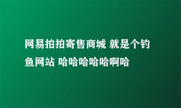 网易拍拍寄售商城 就是个钓鱼网站 哈哈哈哈哈啊哈