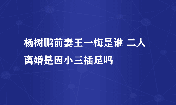 杨树鹏前妻王一梅是谁 二人离婚是因小三插足吗