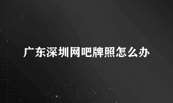 广东深圳网吧牌照怎么办