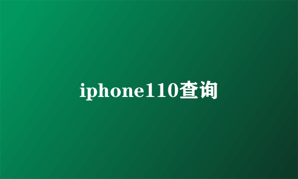 iphone110查询