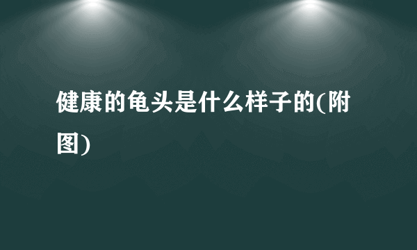 健康的龟头是什么样子的(附图)