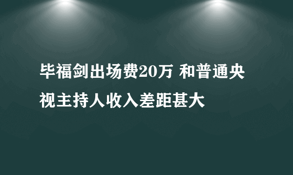 毕福剑出场费20万 和普通央视主持人收入差距甚大