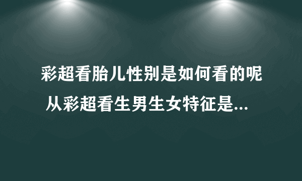 彩超看胎儿性别是如何看的呢 从彩超看生男生女特征是怎么看的