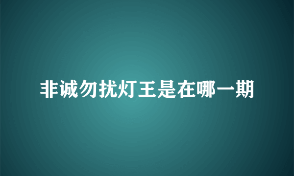 非诚勿扰灯王是在哪一期