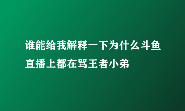 谁能给我解释一下为什么斗鱼直播上都在骂王者小弟