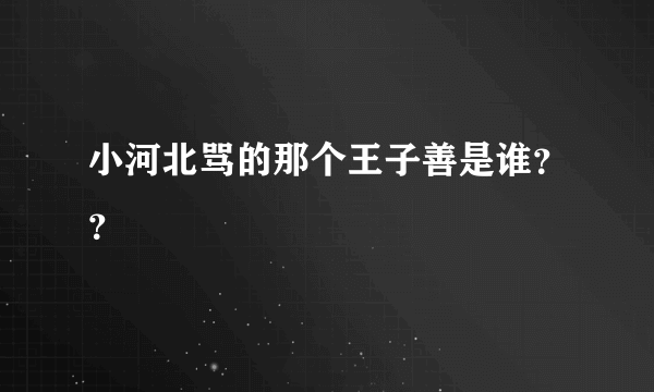 小河北骂的那个王子善是谁？？