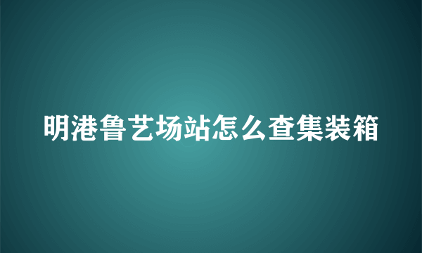 明港鲁艺场站怎么查集装箱