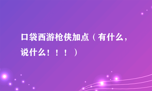 口袋西游枪侠加点（有什么，说什么！！！）