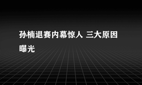 孙楠退赛内幕惊人 三大原因曝光