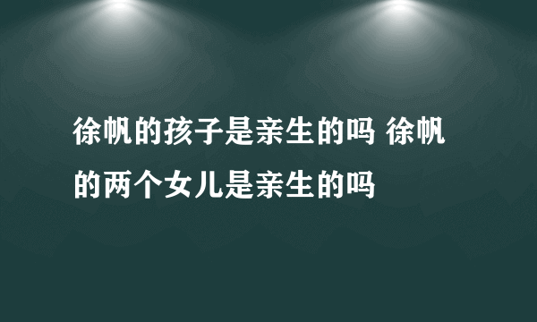 徐帆的孩子是亲生的吗 徐帆的两个女儿是亲生的吗