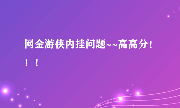 网金游侠内挂问题~~高高分！！！