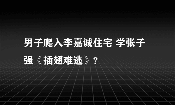 男子爬入李嘉诚住宅 学张子强《插翅难逃》？