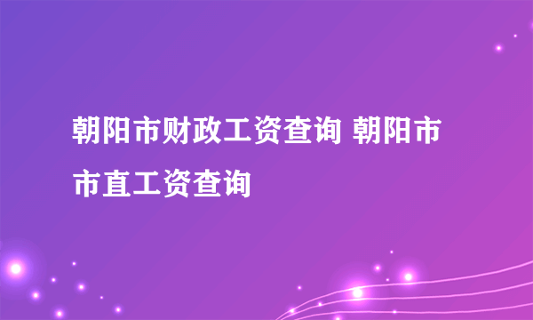 朝阳市财政工资查询 朝阳市市直工资查询