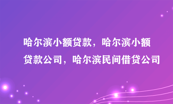 哈尔滨小额贷款，哈尔滨小额贷款公司，哈尔滨民间借贷公司