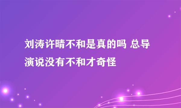 刘涛许晴不和是真的吗 总导演说没有不和才奇怪