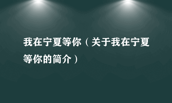 我在宁夏等你（关于我在宁夏等你的简介）