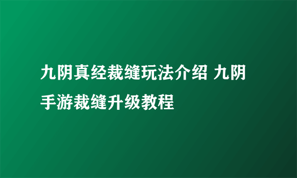 九阴真经裁缝玩法介绍 九阴手游裁缝升级教程