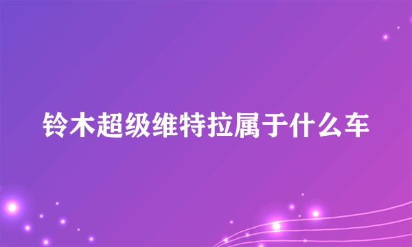 铃木超级维特拉属于什么车