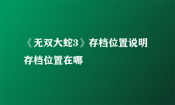 《无双大蛇3》存档位置说明 存档位置在哪