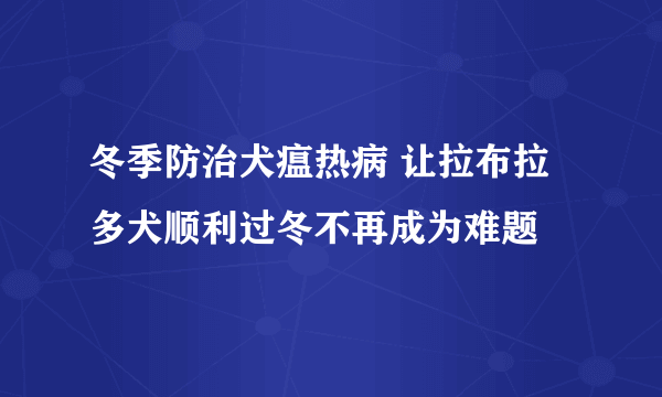 冬季防治犬瘟热病 让拉布拉多犬顺利过冬不再成为难题