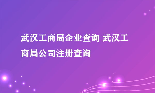 武汉工商局企业查询 武汉工商局公司注册查询