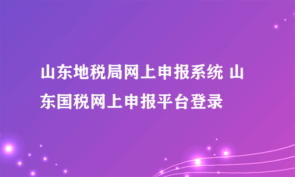 山东地税局网上申报系统 山东国税网上申报平台登录