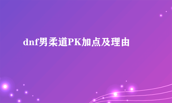 dnf男柔道PK加点及理由