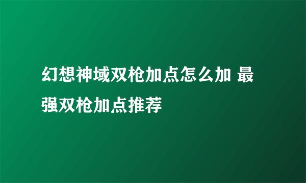 幻想神域双枪加点怎么加 最强双枪加点推荐