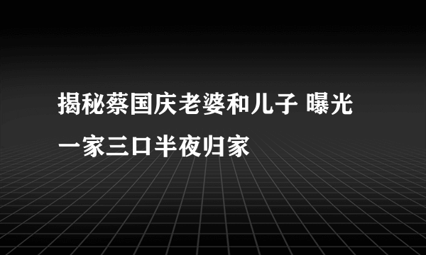 揭秘蔡国庆老婆和儿子 曝光一家三口半夜归家