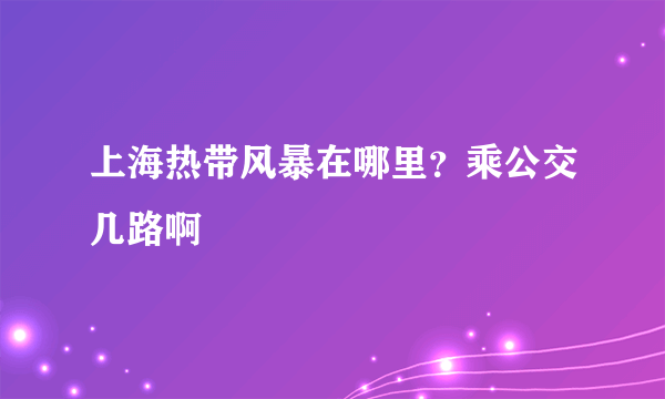 上海热带风暴在哪里？乘公交几路啊